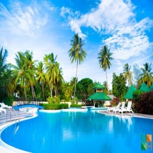 Tranh dán tường trang trí phòng khách BE - 068